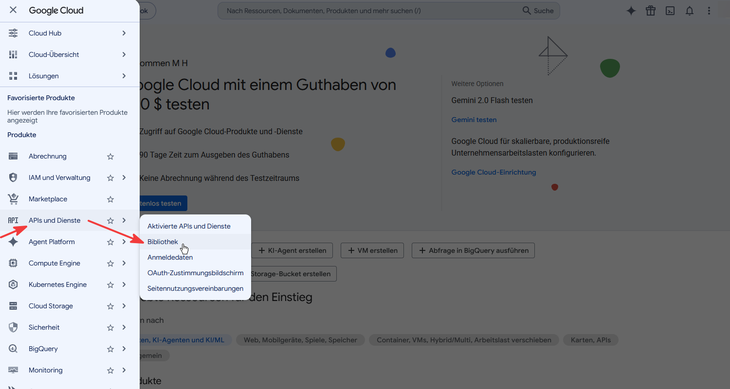 Menü APIs und Dienste, Bibliothek